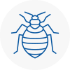 Bed Bug Extermination In Bermondsey